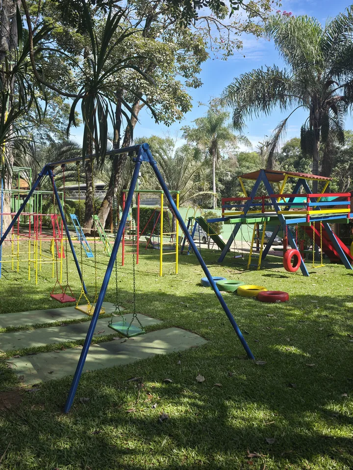 Balanços e brinquedos de playground em área gramada entre palmeiras