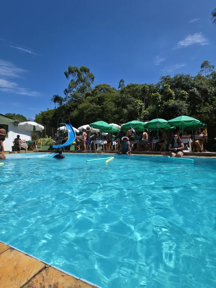 Piscina com água azul e guarda-sóis verdes ao fundo